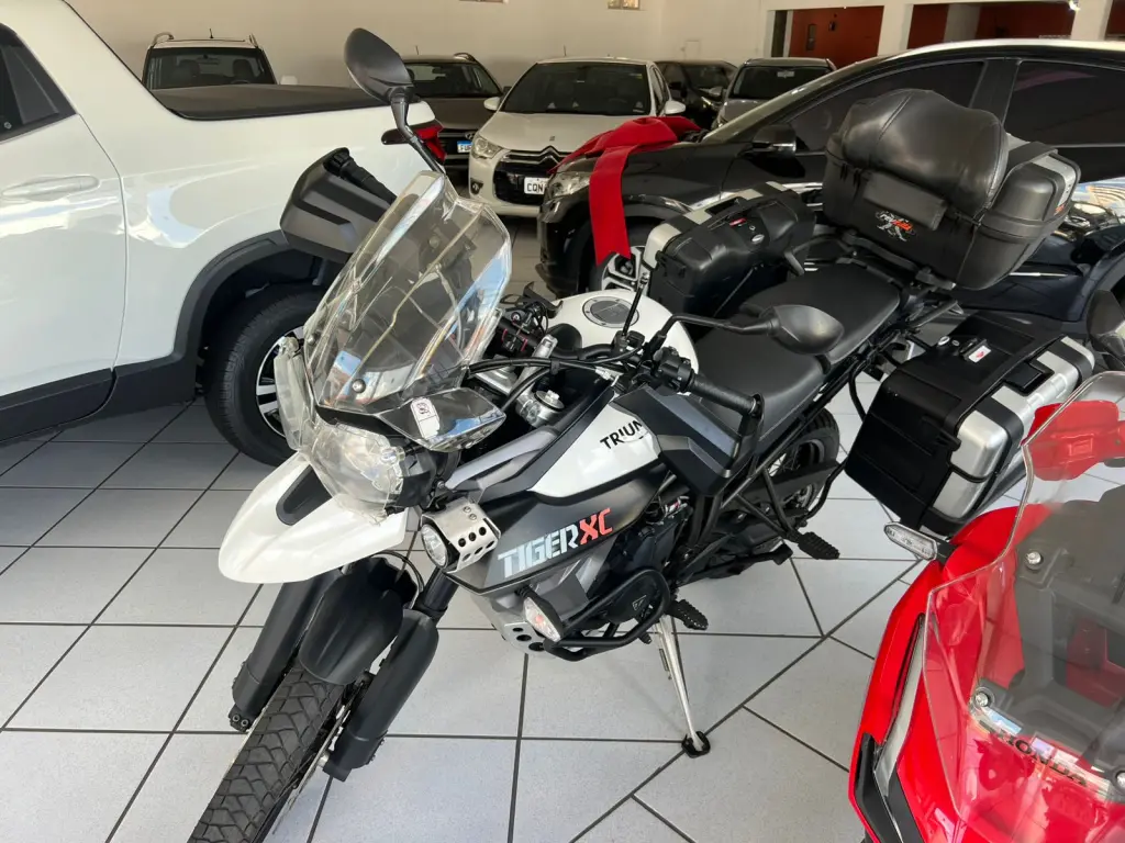 TRIUMPH Tiger 800 - Foto