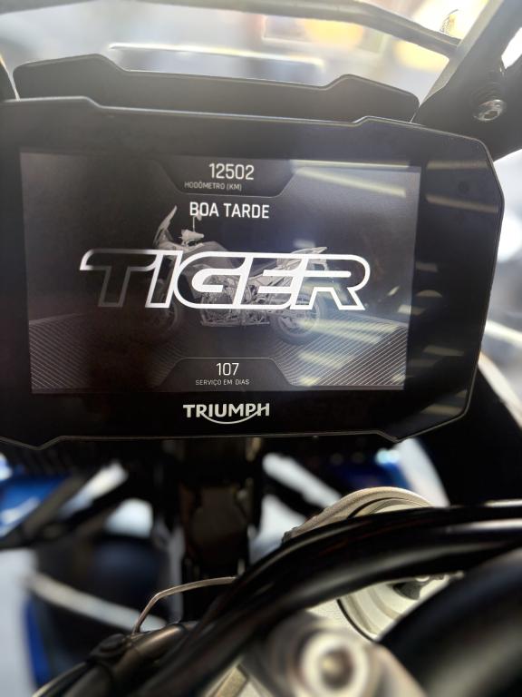TRIUMPH Tiger 900 GT Pro - Foto