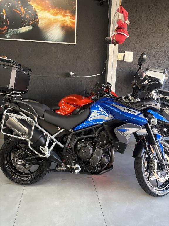 TRIUMPH Tiger 900 GT Pro - Foto