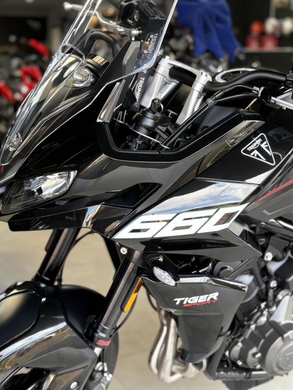 TRIUMPH Tiger Sport 660 - Foto