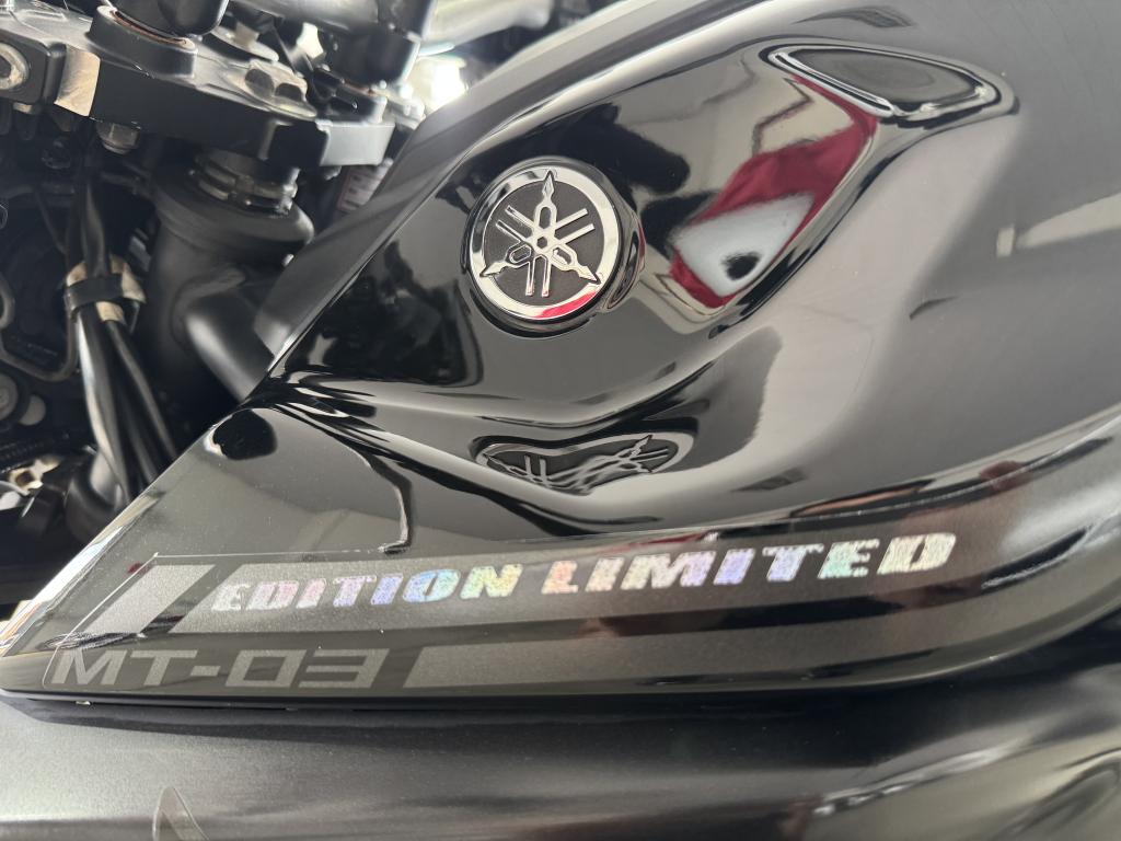 YAMAHA MT-03 300 - Foto