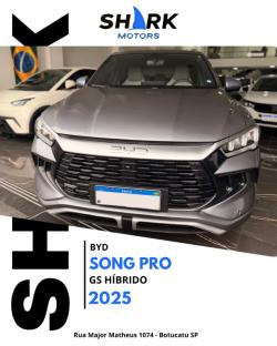 BYD Song Pr� 1.5 16V 4P DM-I H�BRIDO GS AUTOM�TICO