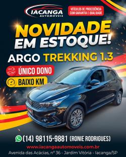 FIAT Argo 1.3 4P FIREFLY FLEX TREKKING