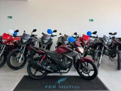 YAMAHA YS Fazer 150 BLUE FLEX
