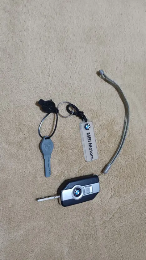 BMW R 1250 GS PREMIUM EXCLUSIVE, Foto 3