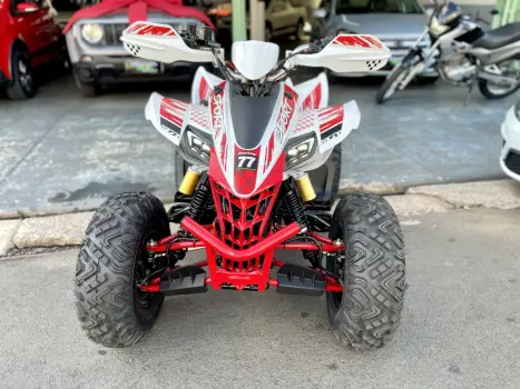 BRP CAN-AM DS 250 , Foto 3 BRP CAN-AM DS 250 , Foto 3