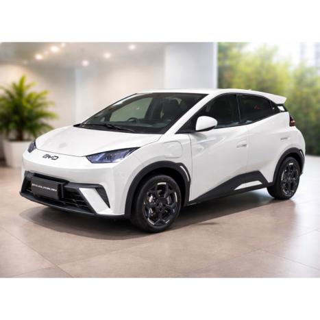BYD Dolphin Mini 38 KW EL�TRICO, Foto 2