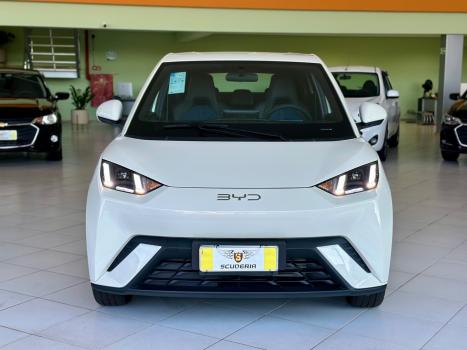 BYD Dolphin Mini 38 KW EL�TRICO, Foto 2
