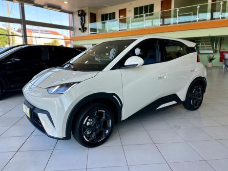 BYD Dolphin Mini 38 KW EL�TRICO, Foto 3