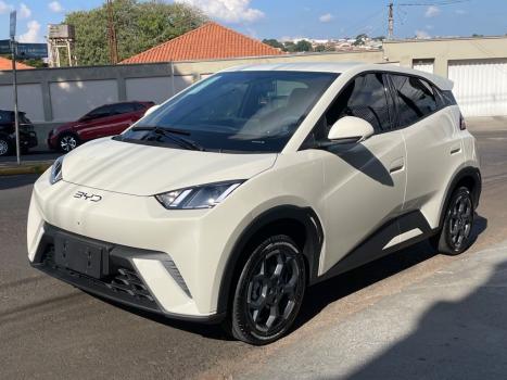 BYD Dolphin Mini 38 KW EL�TRICO, Foto 4