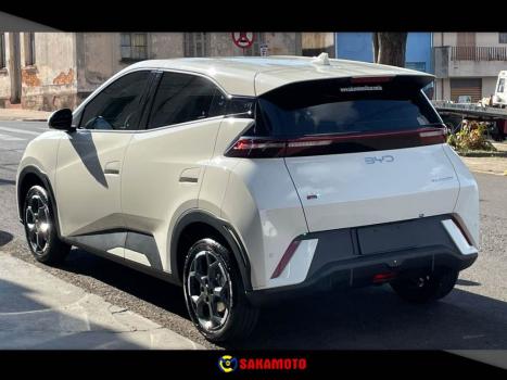 BYD Dolphin Mini 38 KW EL�TRICO, Foto 3