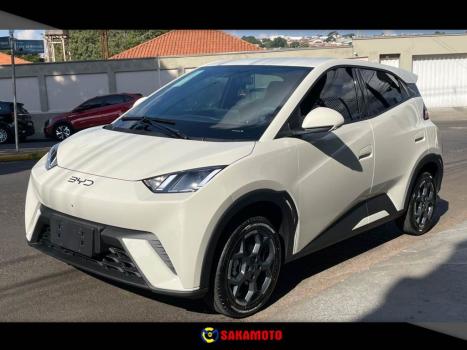 BYD Dolphin Mini 38 KW EL�TRICO, Foto 4