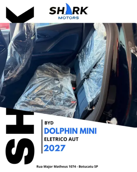 BYD Dolphin Mini 38 KW EL�TRICO GS, Foto 12