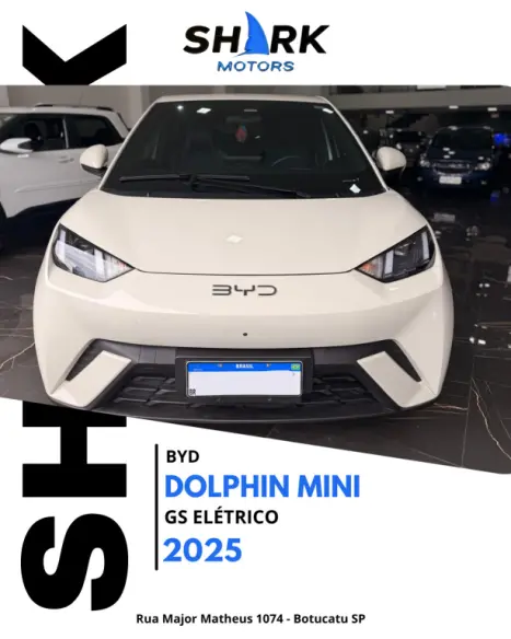 BYD Dolphin Mini 38 KW EL�TRICO GS, Foto 2