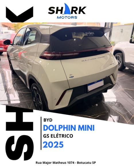 BYD Dolphin Mini 38 KW EL�TRICO GS, Foto 3