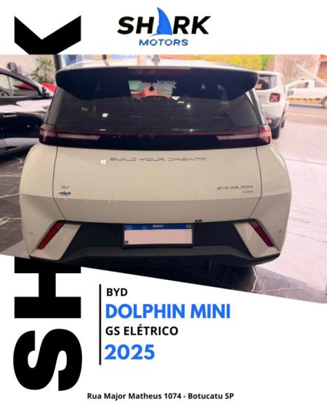 BYD Dolphin Mini 38 KW EL�TRICO GS, Foto 4