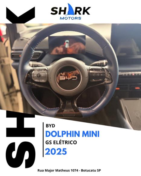 BYD Dolphin Mini 38 KW EL�TRICO GS, Foto 5