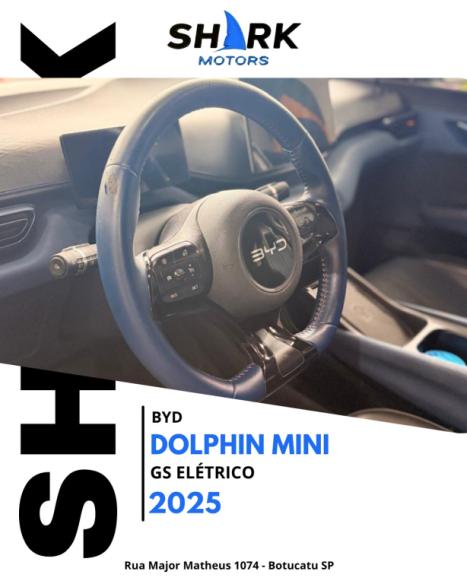 BYD Dolphin Mini 38 KW EL�TRICO GS, Foto 6
