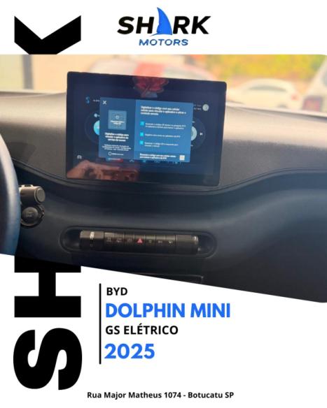 BYD Dolphin Mini 38 KW EL�TRICO GS, Foto 8