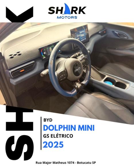 BYD Dolphin Mini 38 KW EL�TRICO GS, Foto 10