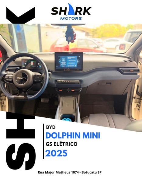 BYD Dolphin Mini 38 KW EL�TRICO GS, Foto 11
