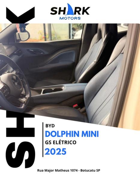 BYD Dolphin Mini 38 KW EL�TRICO GS, Foto 12