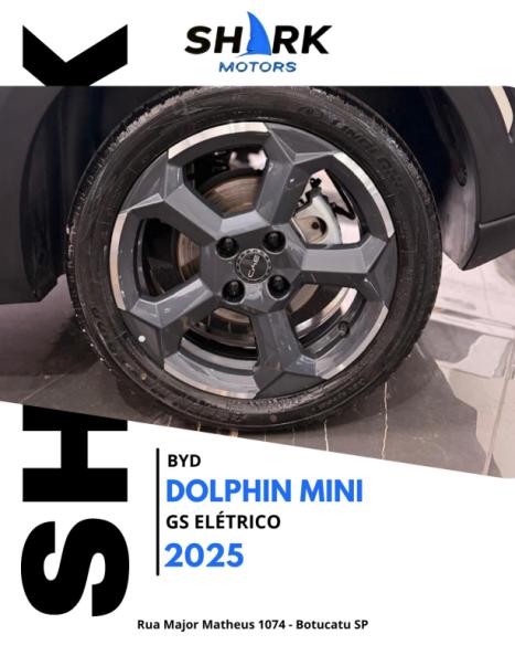 BYD Dolphin Mini 38 KW EL�TRICO GS, Foto 14
