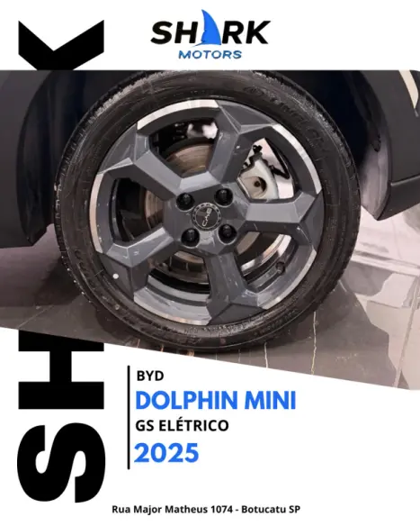 BYD Dolphin Mini 38 KW ELÉTRICO GS, Foto 14