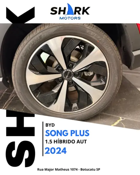BYD Song Plus 1.5 16V 4P DM-I H�BRIDO AUTOM�TICO, Foto 14