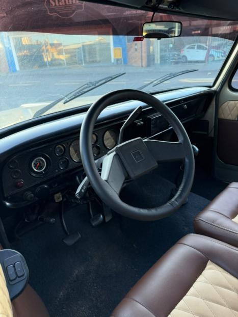 FORD F-1000 4.9 I SUPER S�RIE CABINE SIMPLES, Foto 10