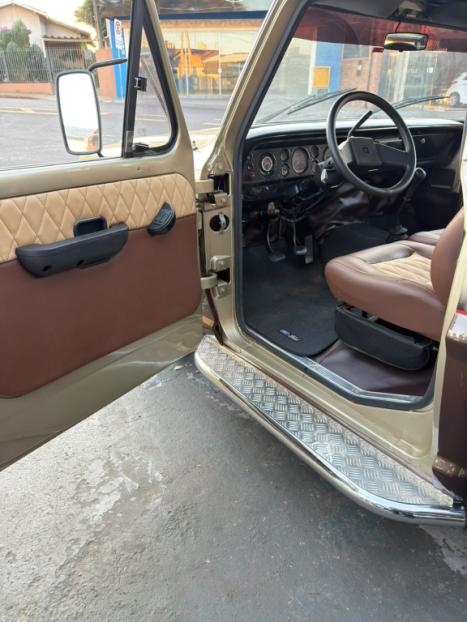 FORD F-1000 4.9 I SUPER S�RIE CABINE SIMPLES, Foto 11