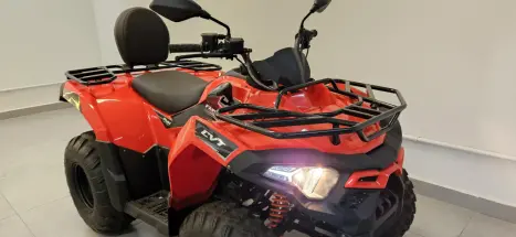 FUN MOTORS Farmer 200 , Foto 14 FUN MOTORS Farmer 200 , Foto 14