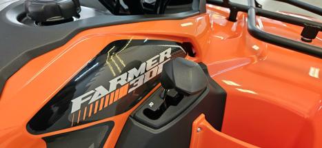 FUN MOTORS Farmer 300 , Foto 3 FUN MOTORS Farmer 300 , Foto 3