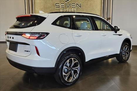 GWM Haval H6 1.5 16V 4P AWD PHEV E-TRATION AUTOM�TICO, Foto 5