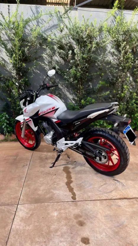 HONDA CB 250 F Twister FLEXONE, Foto 5