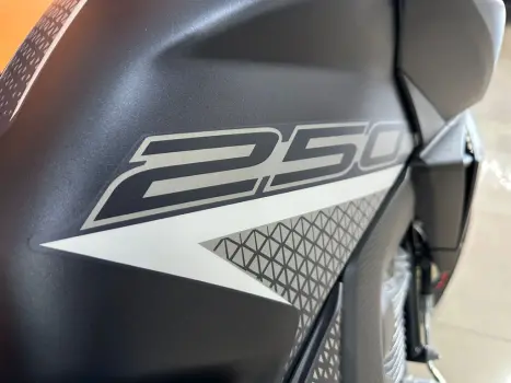 HONDA CB 250 F Twister FLEXONE, Foto 4