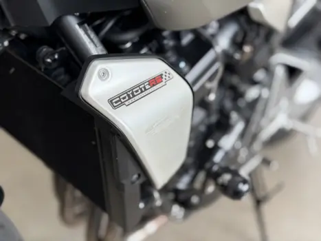 HONDA CBR 1000 F, Foto 10