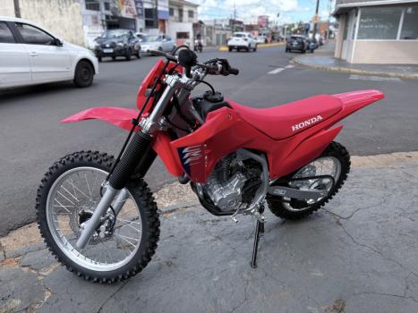 HONDA CRF 300 F, Foto 2