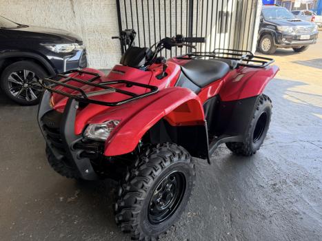 HONDA Four Trax 420, Foto 2