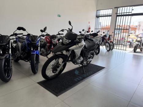 HONDA XRE 300 , Foto 3