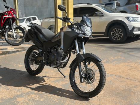 HONDA XRE 300 ABS, Foto 1