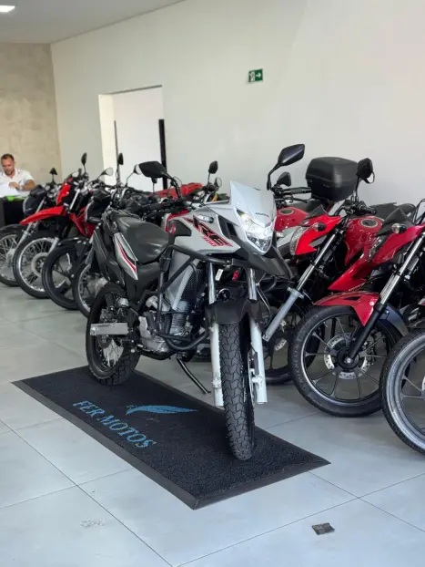 HONDA XRE 300 ABS, Foto 7