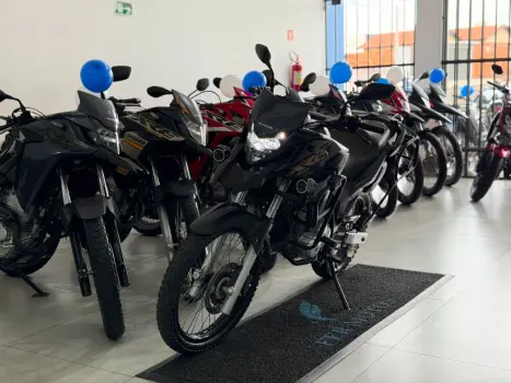 HONDA XRE 300 ABS, Foto 3