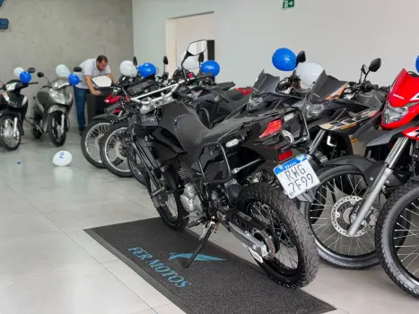 HONDA XRE 300 ABS, Foto 5