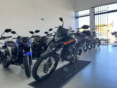 HONDA XRE 300 ADVENTURE, Foto 3