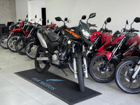 HONDA XRE 300 ADVENTURE, Foto 2