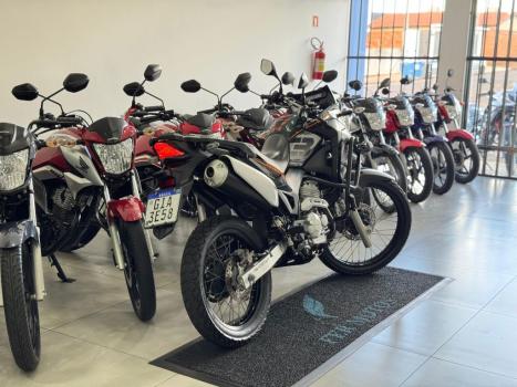 HONDA XRE 300 ADVENTURE, Foto 6