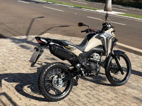 HONDA XRE 300 ADVENTURE, Foto 3