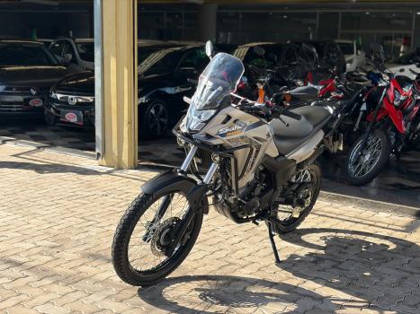 HONDA XRE 300 ADVENTURE, Foto 4