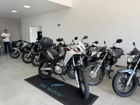 HONDA XRE 300 FLEX, Foto 2